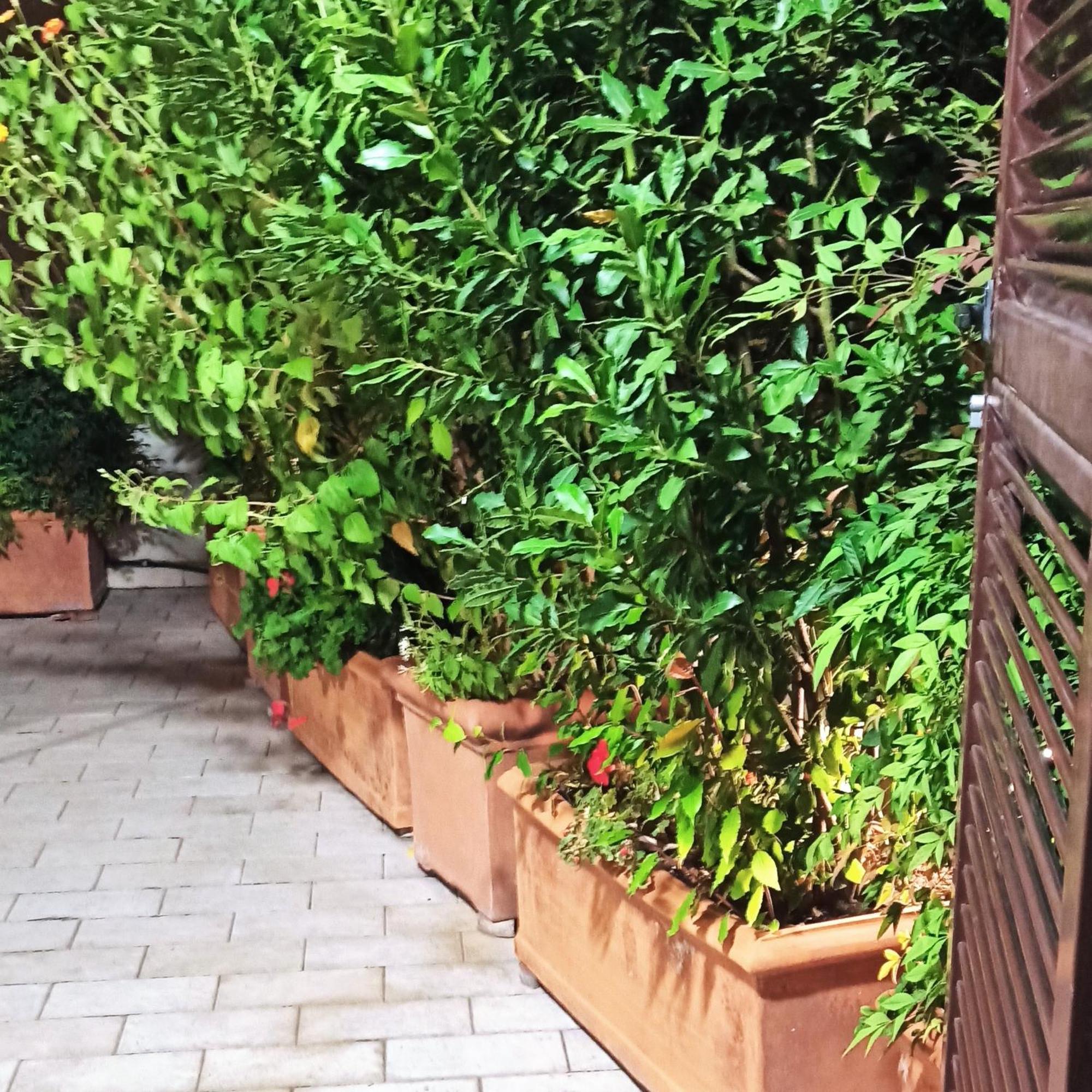 Living By Vatican With Panoramic Terraces In Rome Exterior photo